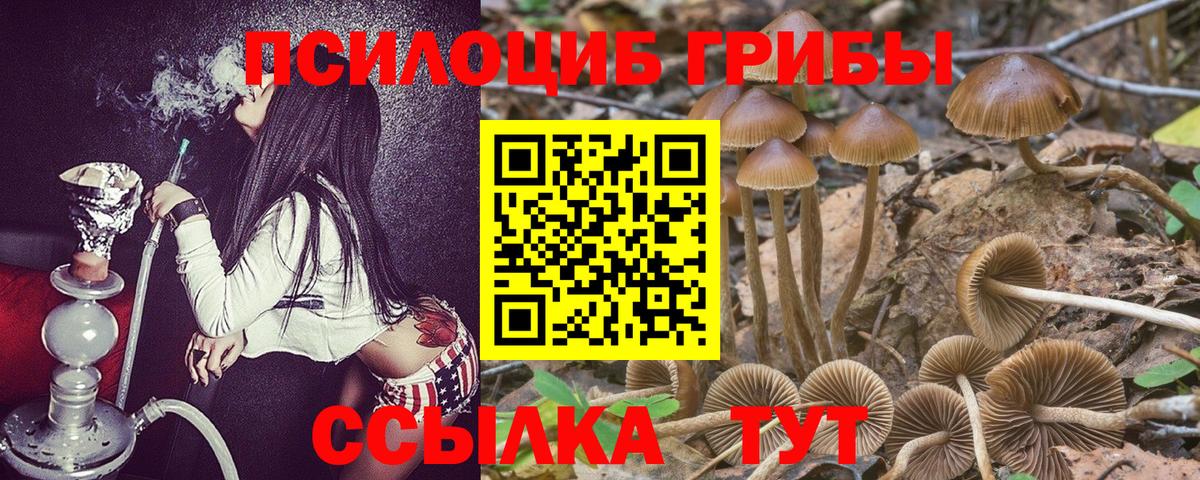 Ступино  Галлюциногенные грибы Magic Shrooms  Вход с VPN  Псилоцибиновые грибы мухоморы 