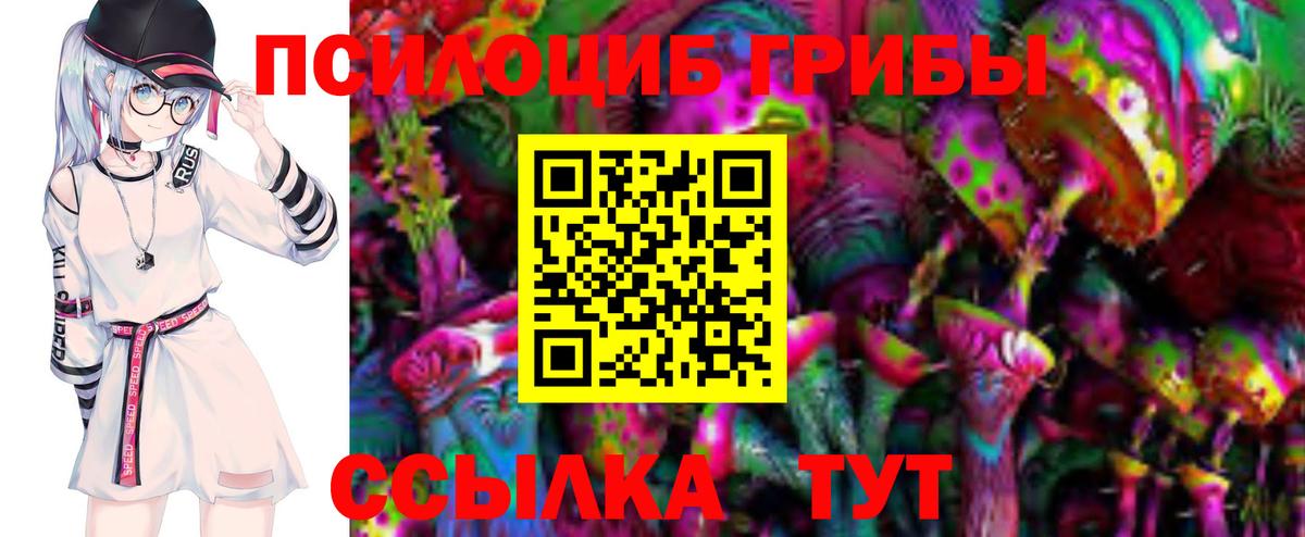 Псилоцибиновые грибы Psilocybe Ступино